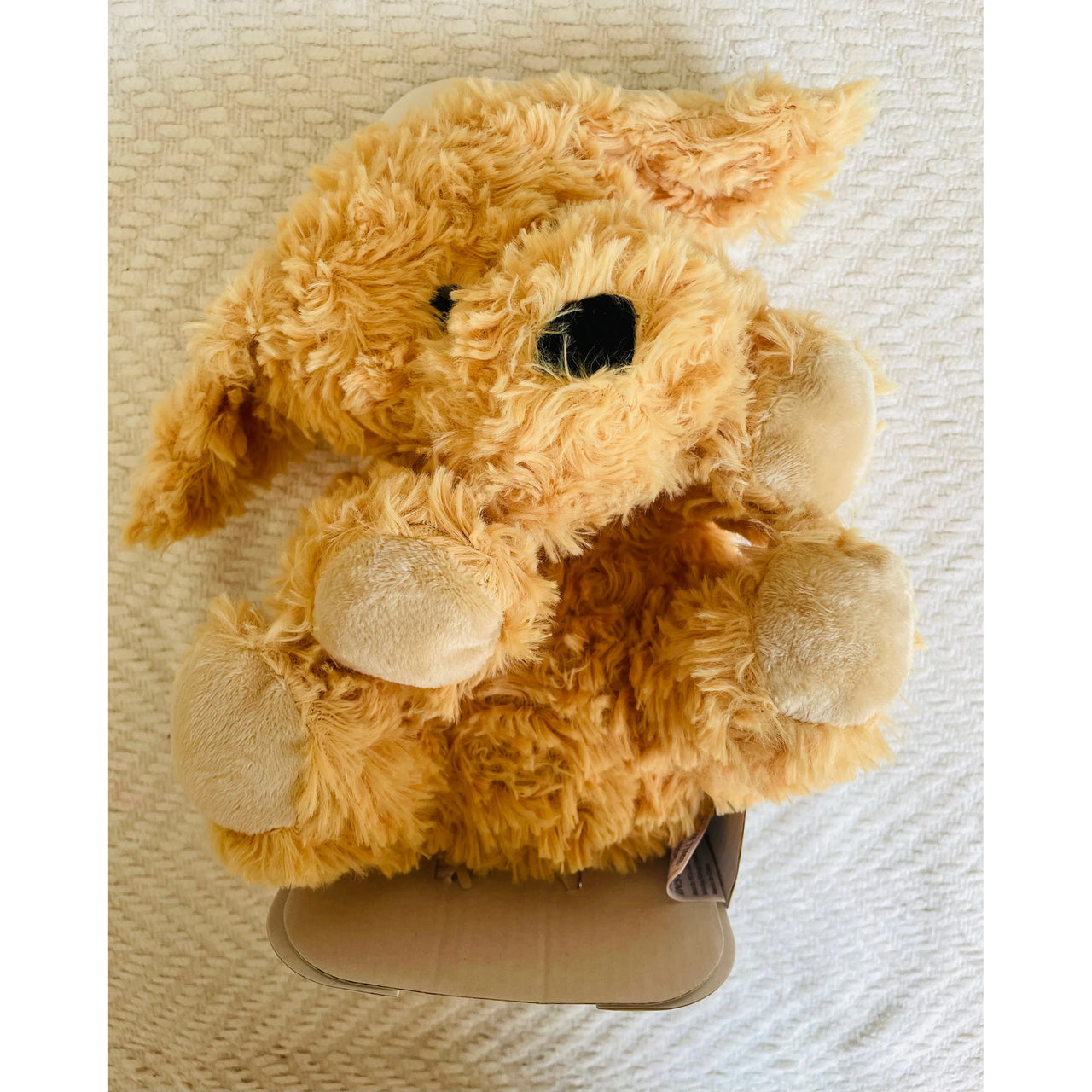 Warmies Junior Cockapoo Dog Plush
