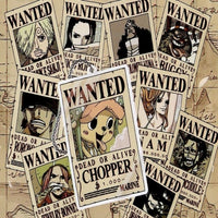 One Piece Wanted Poster Magnet Random Keyring Vol.2