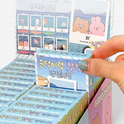 Soondeok Friends “Snap Together!” Random Photo Frame Keyring