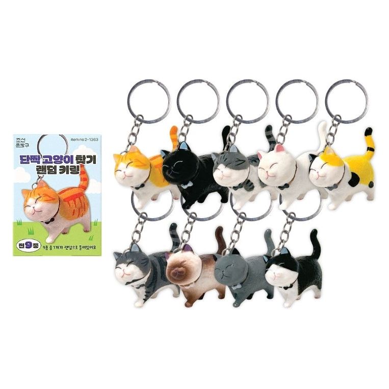 Best Friend Cat Figure Collectable Keyring Blind Box - The Happy Toy Store