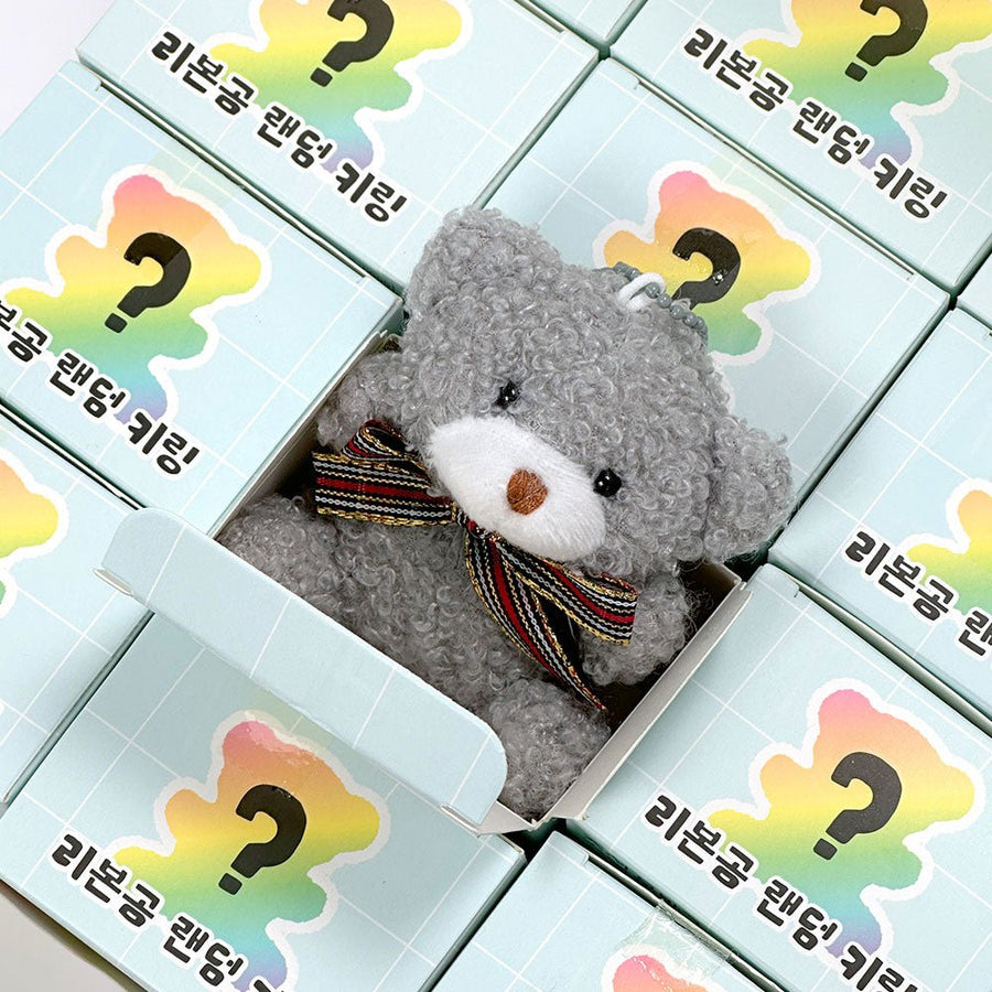 Classic Bear Key Ring Zipper Charm Blind Box - The Happy Toy Store