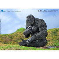 Godzilla x Kong: The New Empire Exquisite Basic Action Figure Kong 16 cm - The Happy Toy Store