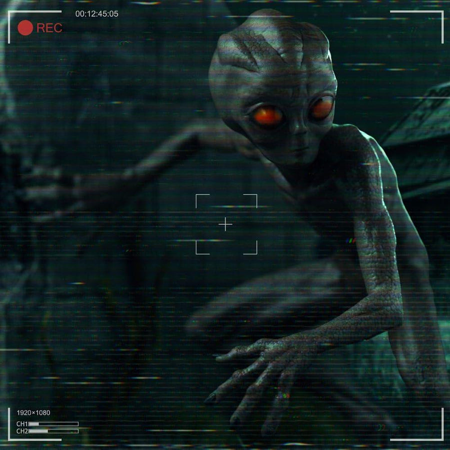 I want to Believe Art Scale Statue 1/10 ET Varginha 17 cm - The Happy Toy Store