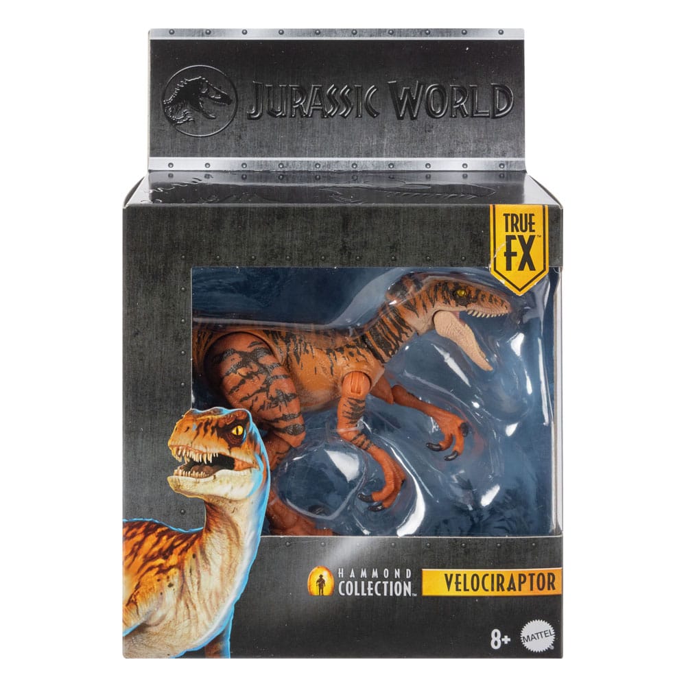 Jurassic World Hammond Collection Action Figure Velociraptor - The Happy Toy Store