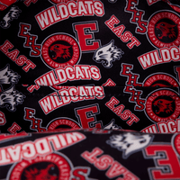 Loungefly Disney High School Musical Troy Bolton Wildcats Jersey Mini Backpack - The Happy Toy Store