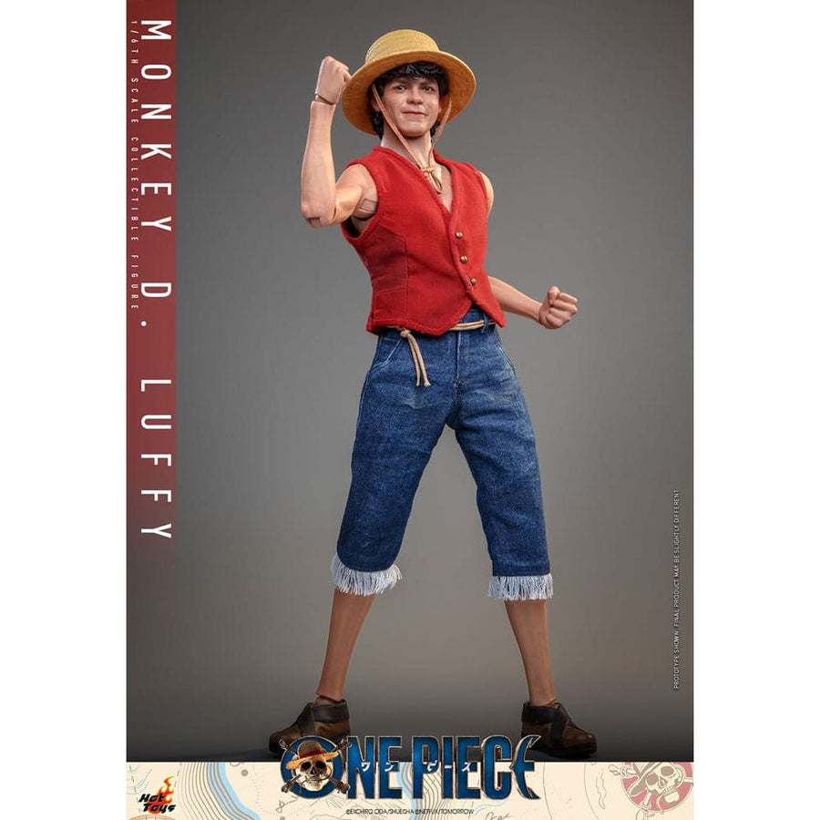 One Piece (Netflix) Action Figure 1/6 Monkey D. Luffy 31 cm - The Happy Toy Store