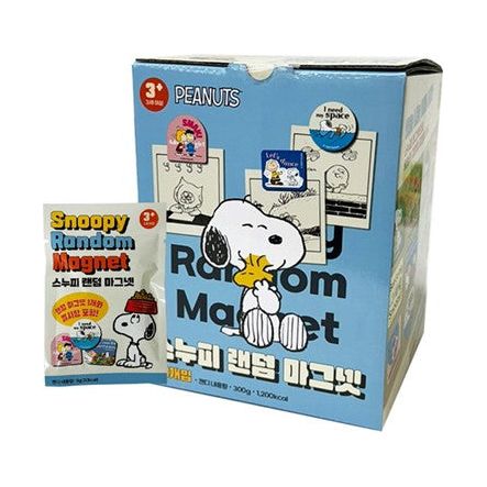 Peanuts Snoopy & Friends Magnet Blind Bag - The Happy Toy Store