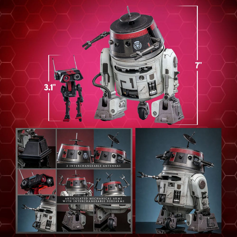 Star Wars Action Figure Set 1/6 Chopper (C1 - 10P™) & BD - 1™ (Imperial Disguise) 18 cm & 8 cm - The Happy Toy Store