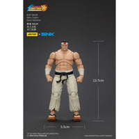 The King Of Fighters '98 Action Figure Hero Team Goro Daimon 12 cm - The Happy Toy Store