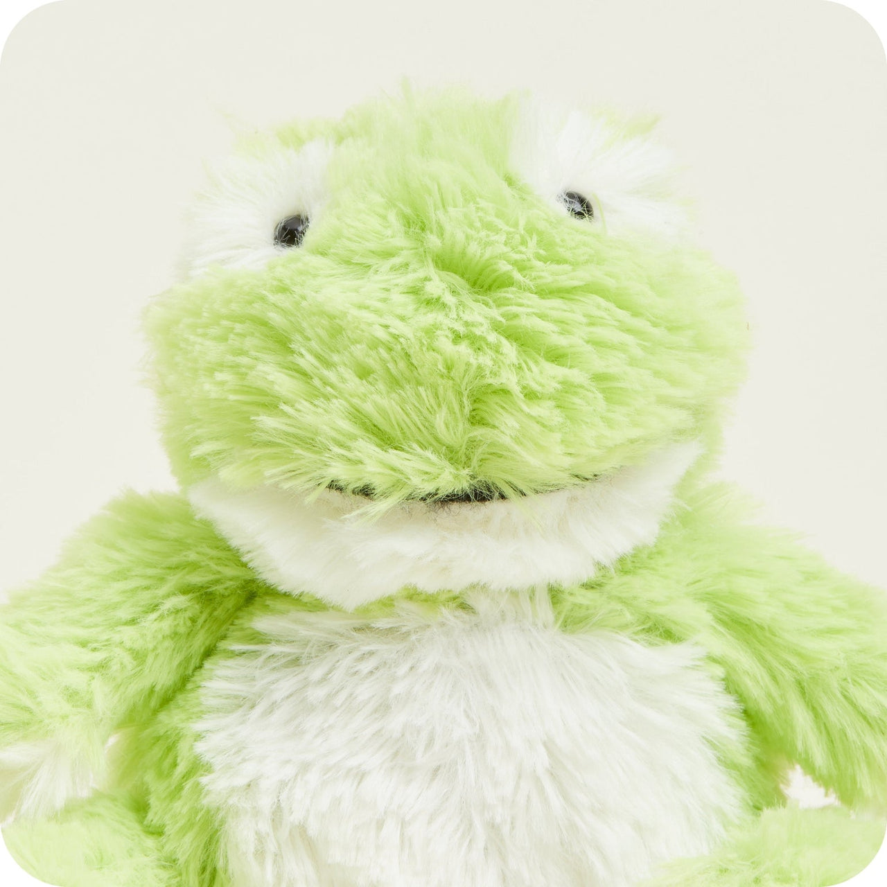 Warmies Junior Frog Plush - The Happy Toy Store