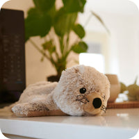 Warmies Seal Plush - The Happy Toy Store
